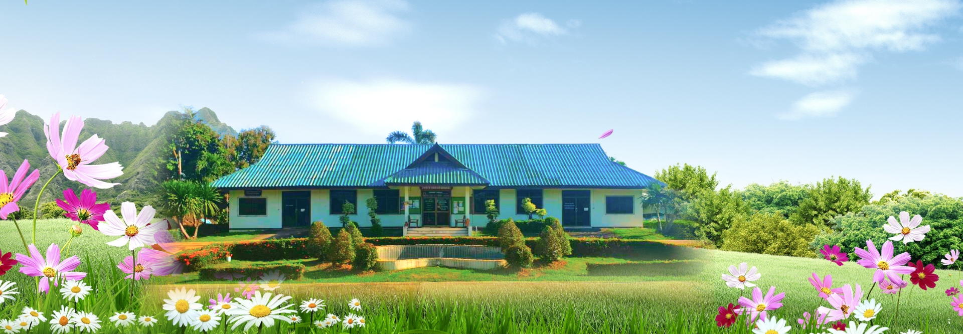 พื้นหลัง